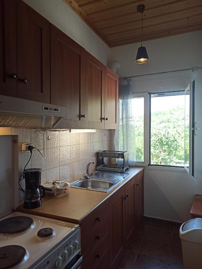 Elli΄S House Συγχρονο Σπιτι Στα Πραμαντα Villa Pramanta Bagian luar foto