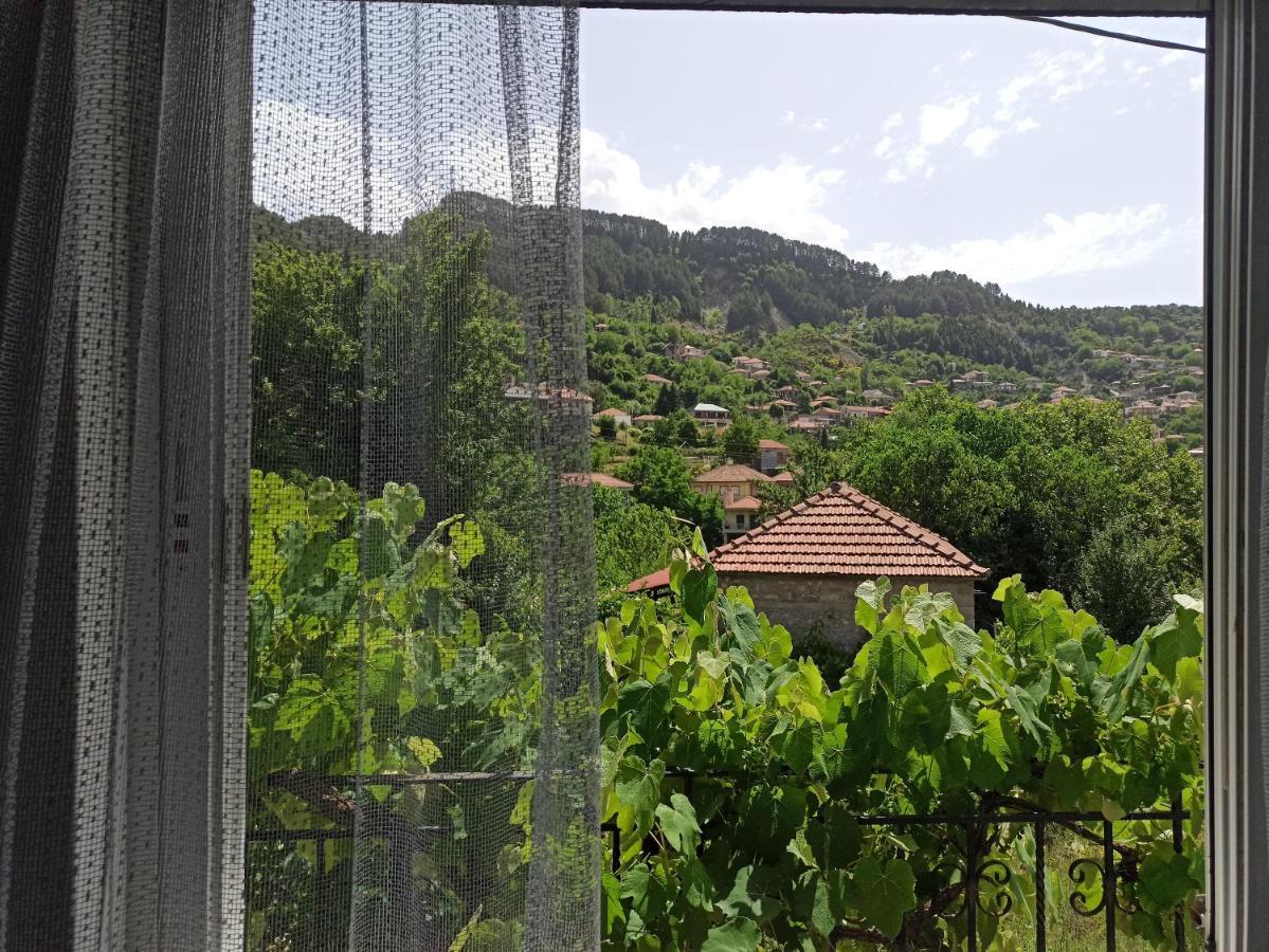 Elli΄S House Συγχρονο Σπιτι Στα Πραμαντα Villa Pramanta Bagian luar foto